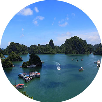 千萬別跟免費團去越南旅游