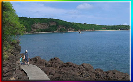 北海潿洲島旅游,廣西北?？递x旅行社,