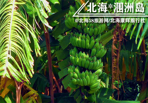 北海潿洲島上吃東西貴嗎,北海康輝旅行社